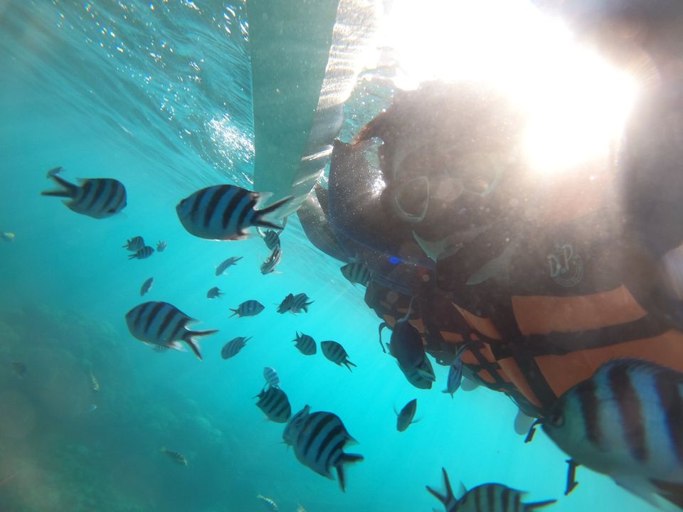 澎湖旅遊-海底郵筒浮潛